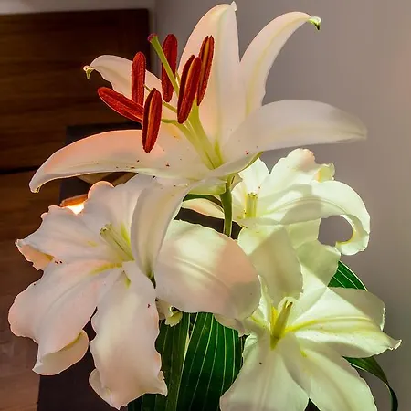 Boutique Loriente 4*