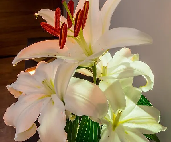 Boutique Loriente 4*